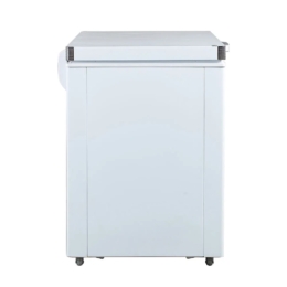 Tủ đông Alaska BD-400C 355L