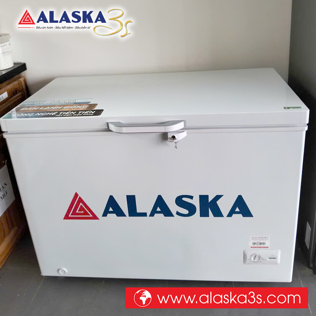 Tủ đông Alaska BD-400C dàn đồng